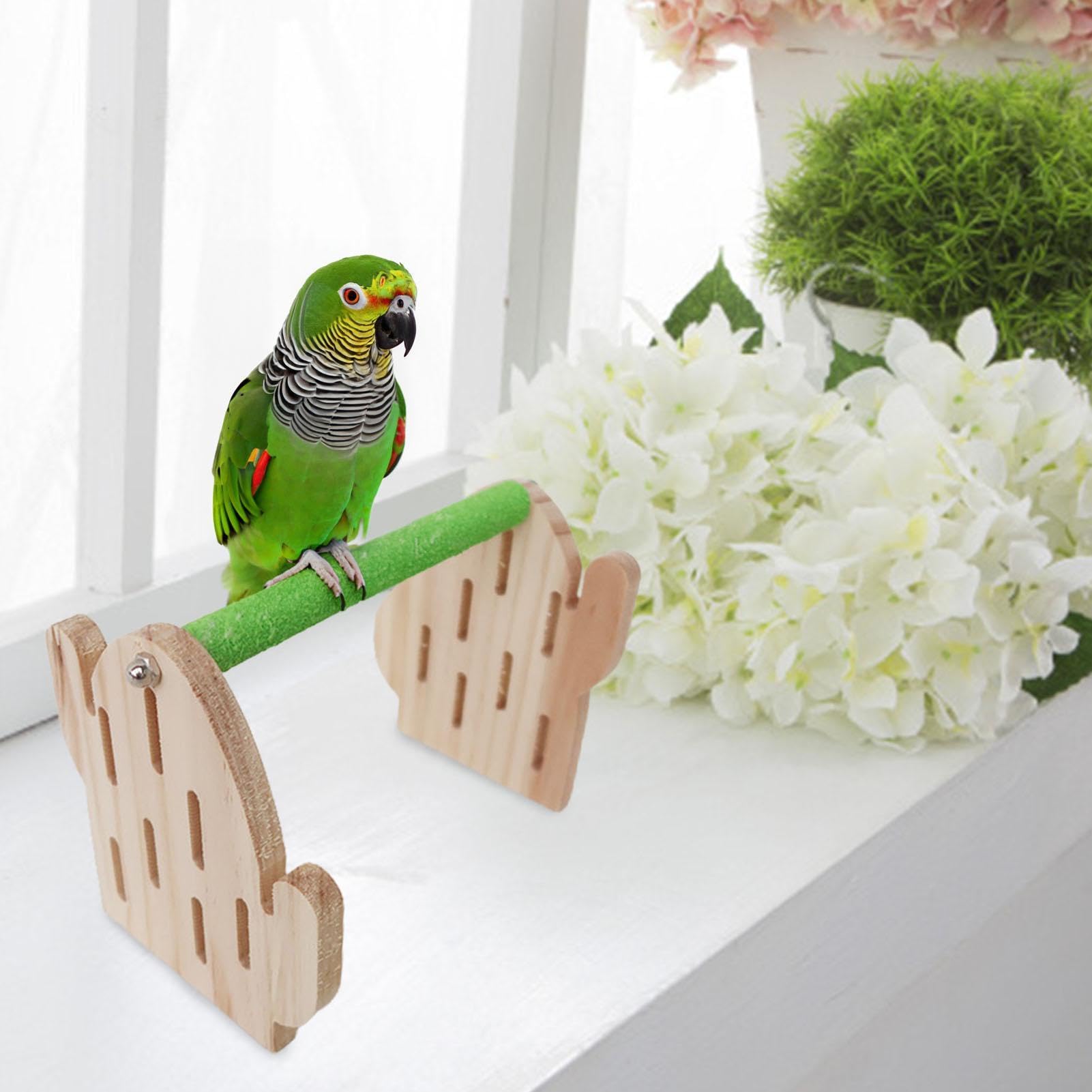 Amazon | オウム用バードスタンド,オウムスタンド - 鳥スタンド鳥用